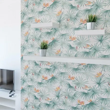 Casas De Mar - Barco * Olhão